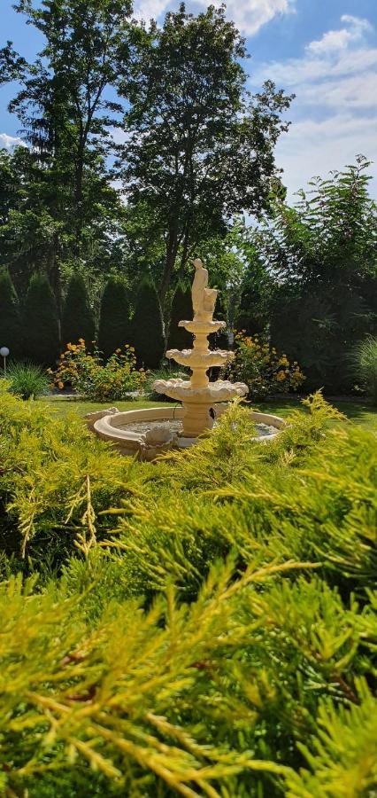 Villa Carmen Kudowa-Zdrój Buitenkant foto