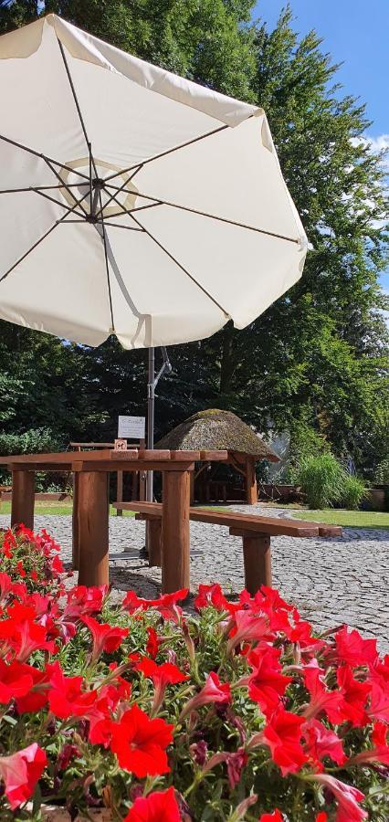Villa Carmen Kudowa-Zdrój Buitenkant foto